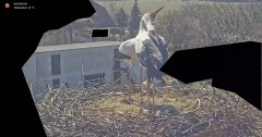 IMG_1002.jpeg
