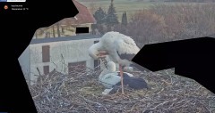 IMG_1194.jpeg
