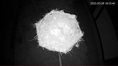 IMG_1210.jpeg