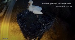 IMG_1211.jpeg