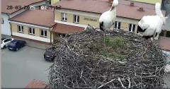 IMG_0936.jpeg