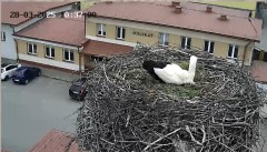 IMG_0937.jpeg