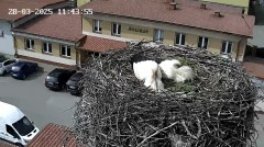 IMG_0996.jpeg