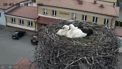 IMG_1168.jpeg