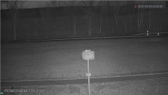 IMG_1224.jpeg