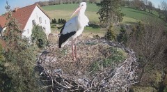 IMG_1126.jpeg
