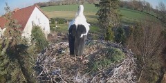 IMG_1163.jpeg