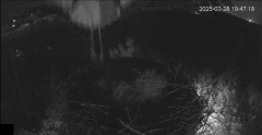 IMG_1236.jpeg