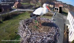 IMG_4983.jpeg