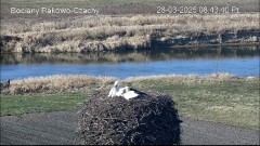 IMG_1996.jpeg