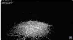 IMG_1245.jpeg