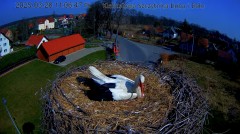 IMG_1252.jpeg
