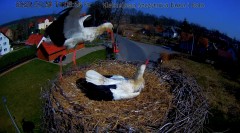 IMG_1256.jpeg