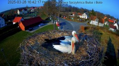 IMG_1278.jpeg