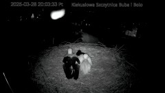 IMG_1279.jpeg