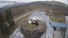 2025-03-28 23_21_07-[stimotion.pl] Bociany w Rzepedzi - YouTube - Maxthon.png