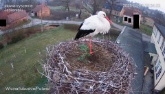 IMG_5013.jpeg
