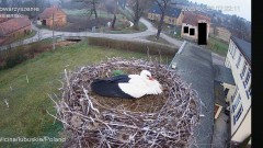 IMG_5018.jpeg