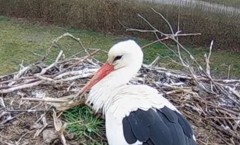 IMG_5097.jpeg