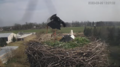2025-03-29 21_12_09-Bociany - Raszków - YouTube - Maxthon.png