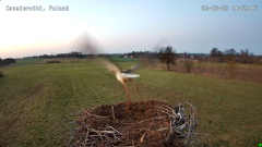 2025-03-29 16_45_30-Gniazdo bocianie w Czemiernikach, pow. radzyński, Lubelszczyzna - YouTube - Maxt.png