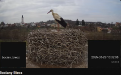 2025-03-29 21_51_01-Bociany Biecz - YouTube - Maxthon.png