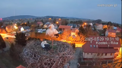 2025-03-29 22_25_54-Gniazdo bocianie _Kostek i Rika_ - Podkarpacie Kostarowce - YouTube - Maxthon.png