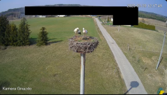 2025-03-29 23_09_13-Bociany Żabno - YouTube - Maxthon.png