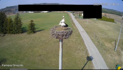 2025-03-29 23_09_24-Bociany Żabno - YouTube - Maxthon.png
