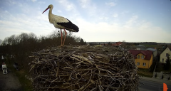 2025-03-30 11_16_15-Bocian - Krajewice - Gmina Gostyń - YouTube - Maxthon.png