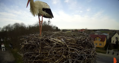 2025-03-30 11_16_28-Bocian - Krajewice - Gmina Gostyń - YouTube - Maxthon.png