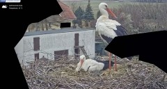 IMG_1456.jpeg