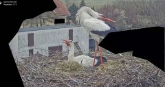 IMG_1472.jpeg