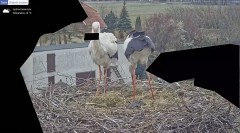 IMG_1473.jpeg