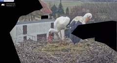 IMG_1477.jpeg