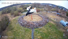 2025-03-30 11_35_28-Bociany Lublewo - YouTube - Maxthon.png