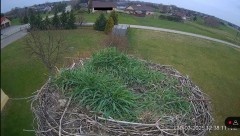 IMG_5138.jpeg