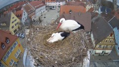 IMG_5142.jpeg