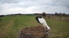 IMG_1620.jpeg
