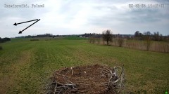 IMG_1627.jpeg