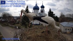 IMG_1558.jpeg