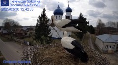 IMG_1559.jpeg