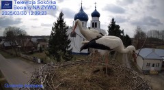 IMG_1560.jpeg