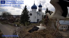 IMG_1561.jpeg