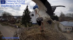 IMG_1562.jpeg