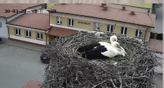IMG_1547.jpeg