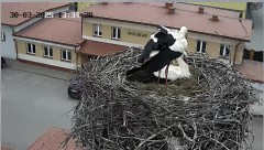 IMG_1565.jpeg