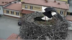 IMG_1566.jpeg