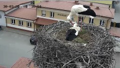 IMG_1568.jpeg