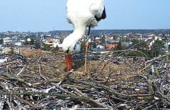 IMG_1492.jpeg